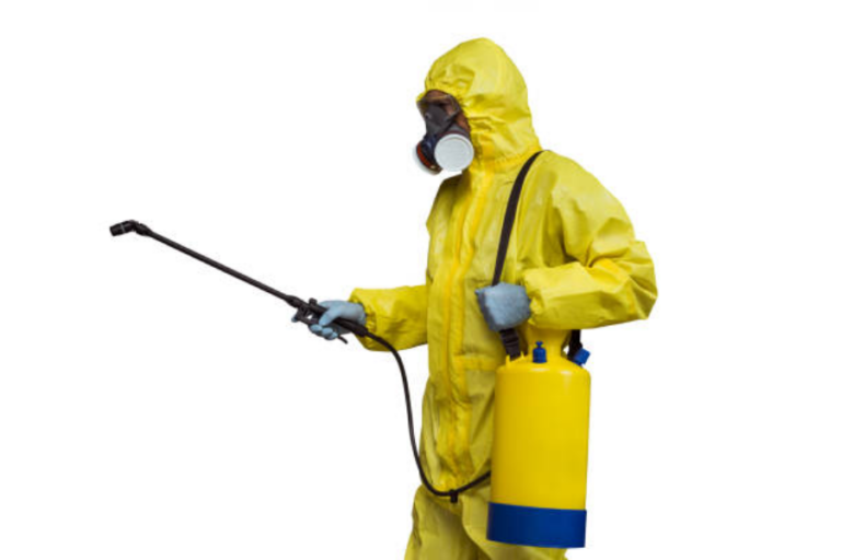 DIY pest control or professional services.